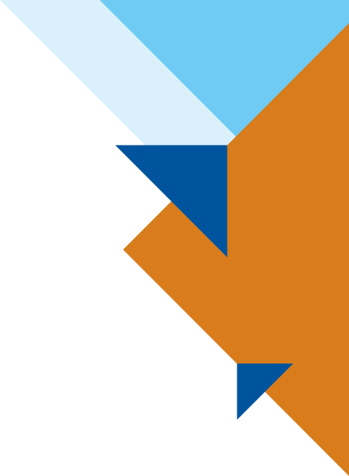 poly-shape-element-2